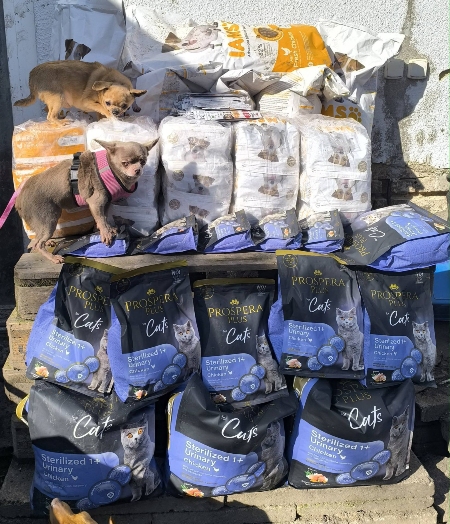 Dvůr Poslední Šance